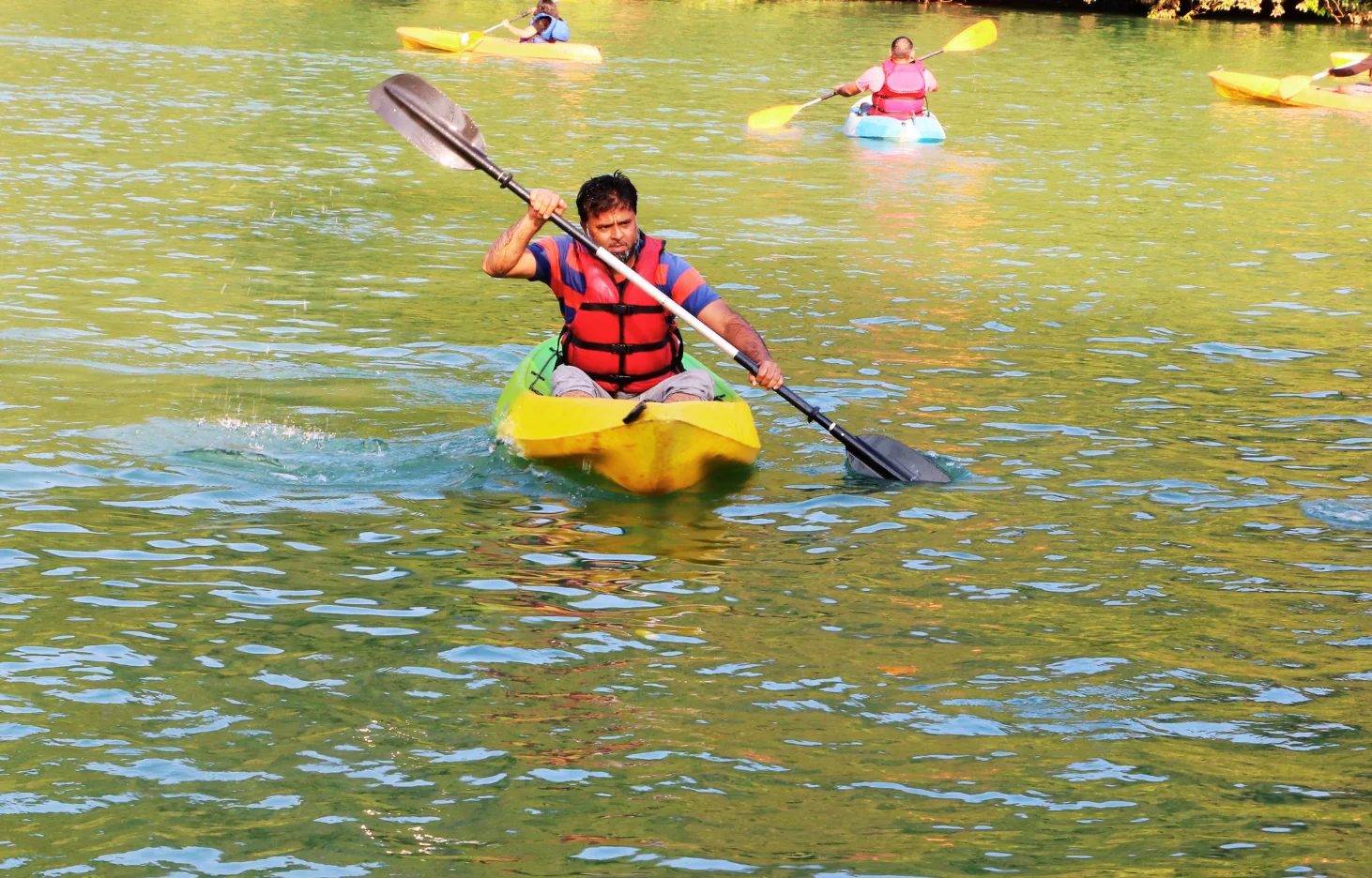 Best Dandeli Resorts and Packages