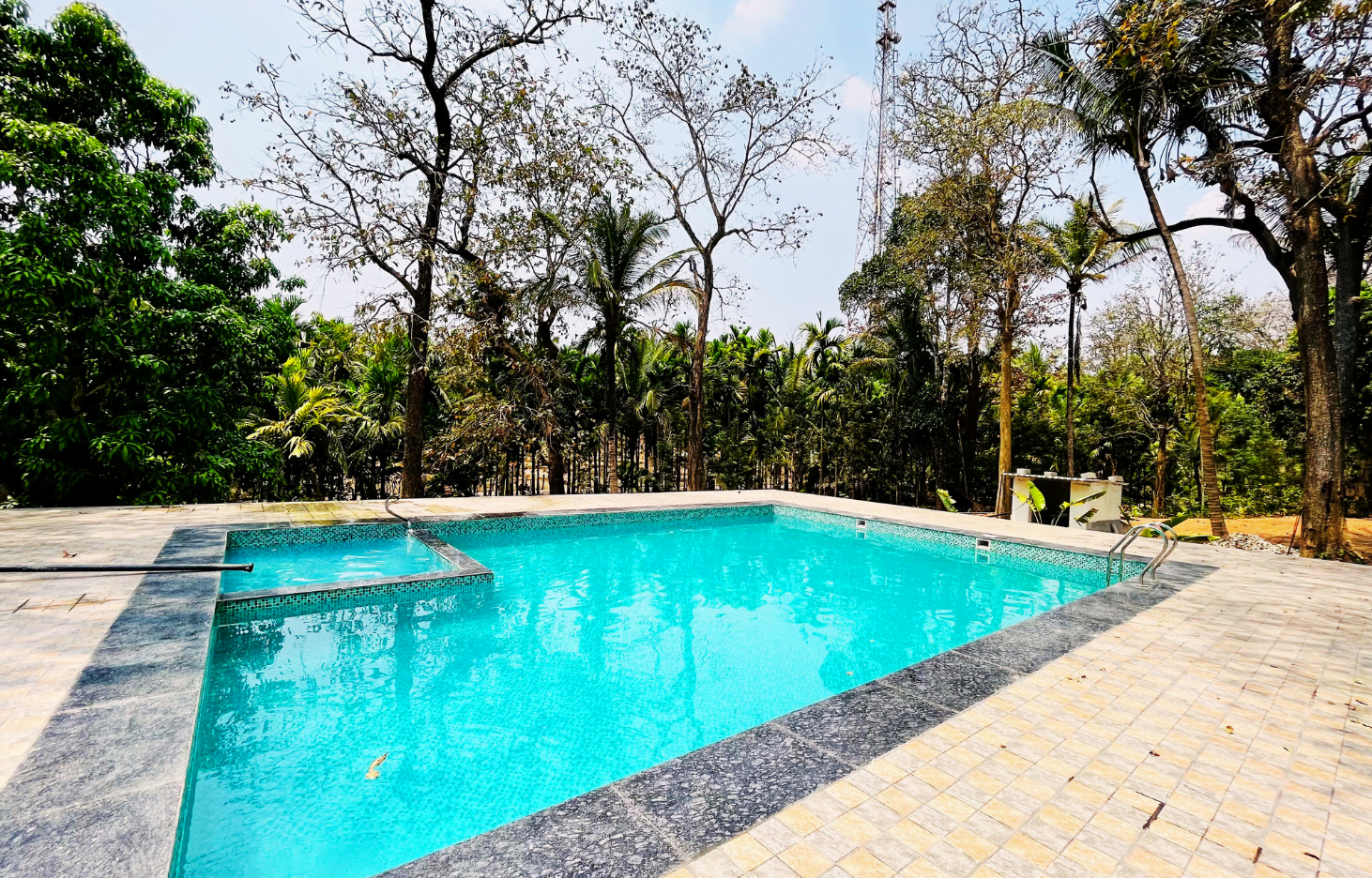 Dandeli's, High Trees Jungle Stay