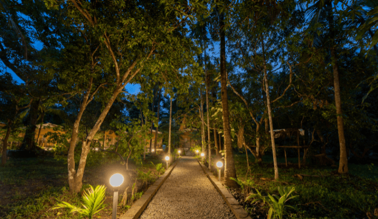 high-trees-jungle-stay.png