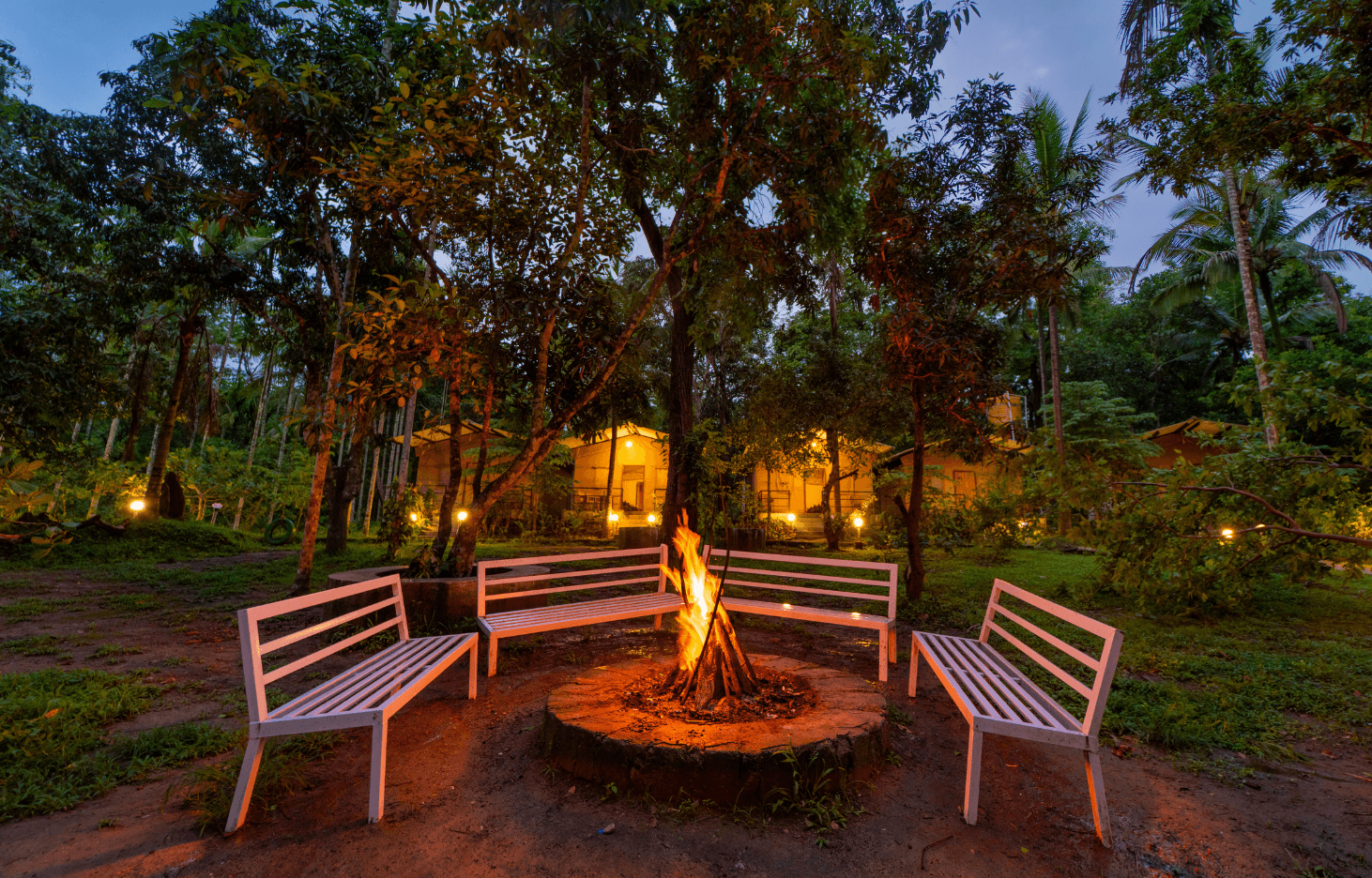 high-trees-jungle-stay.png
