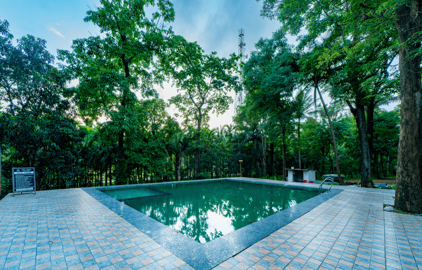 high-trees-jungle-stay.png
