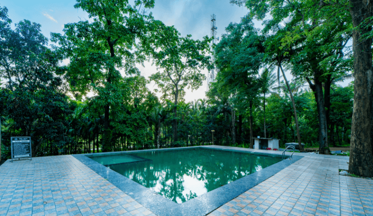 high-trees-jungle-stay.png