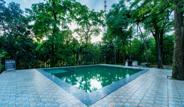 Dandeli, High Trees Jungle Stay