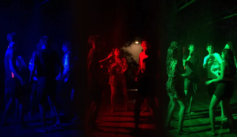 DR high-trees-jungle-stay-dandeli.png